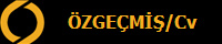 ZGEM/Cv